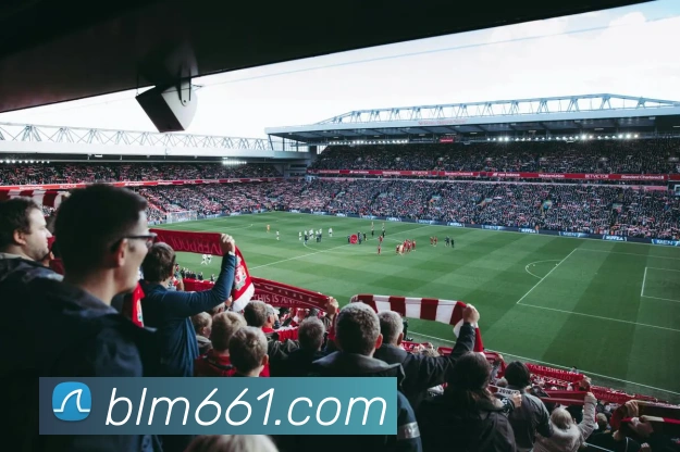 奖项证书